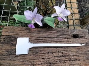 orquideas-como-etiquetar-e-registrar